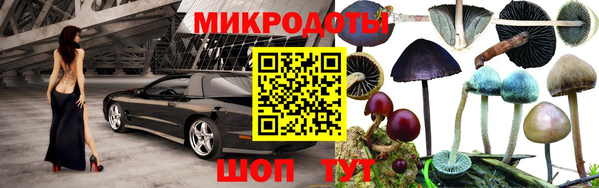Стрежевой  Псилоцибиновые грибы прущие грибы  Вход с VPN  Галлюциногенные грибы Cubensis 